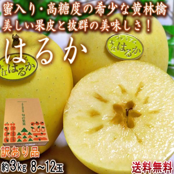 はるか 蜜入り黄りんご 約3kg 8〜12玉入り 訳あり品 山形県産 JAさがえ西村山 高い糖度と酸味の少ない果肉！国内屈指の林檎産地で育った味わい抜群のリンゴ