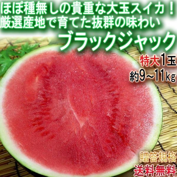 種無し　めちゃ甘い　スイカ　21 楽天市場】糖度15度前後 北海道産 種無しスイカ 甘いスイカ