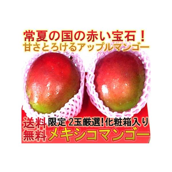 メキシコ産 マンゴーの人気商品 通販 価格比較 価格 Com