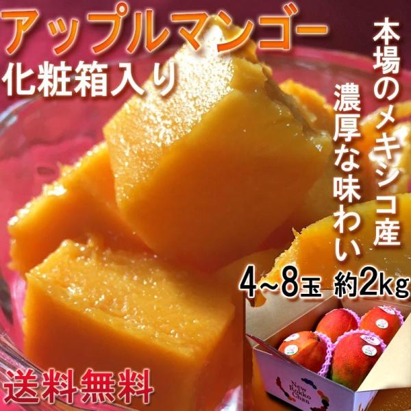 メキシコ産 マンゴーの人気商品 通販 価格比較 価格 Com