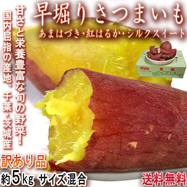 早堀りさつまいも あまはづき・紅はるか・シルクスイート 約5kg 千葉県・茨城県産 訳あり品 旬のおいしさを一足先にお届け！さっぱりした甘さとほくほくの食感