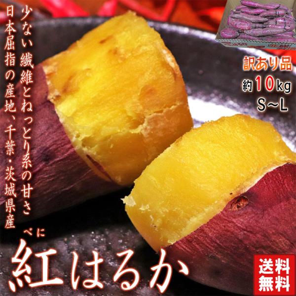 紅はるか さつまいも 約10kg 千葉県・茨城県産 訳あり品 濃厚な 紅はるか さつまいも 約10kg 千葉県・茨城県産 訳あり品 濃厚な