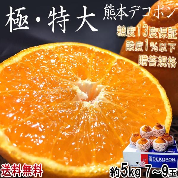 デコポン 極実・特大 約5kg 7〜9玉 熊本県産 贈答規格 JA デコポン 極実・特大 約5kg 7〜9玉 熊本県産 贈答規格 JA