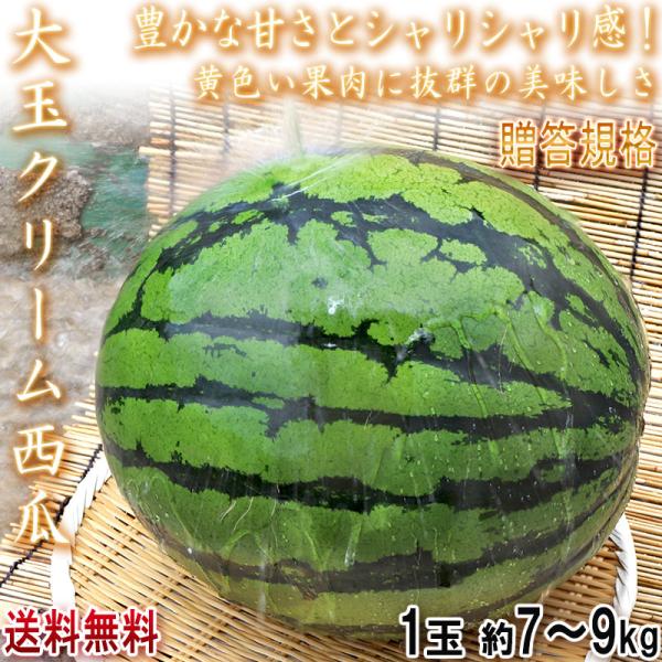 大玉クリームスイカ 約7〜9kg 1玉 千葉県産 贈答規格  希少品種 成田・富里を始めとした抜群の味とシャリシャリ感！ 割れて届いた時の返品交換対応有り