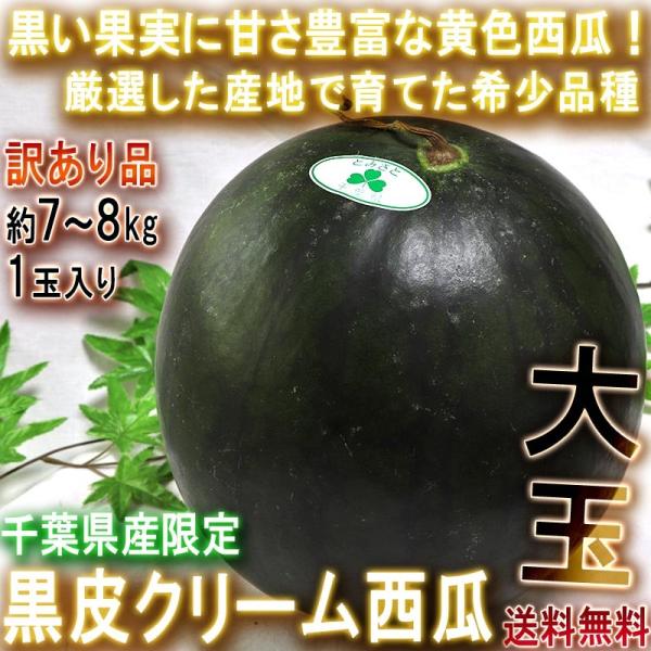 大玉黒皮クリームスイカ 約7〜8kg 1玉入り 訳あり品 千葉県産 大玉西瓜 本場の産地で育てた希少品種！上品な甘さとシャリシャリの食感