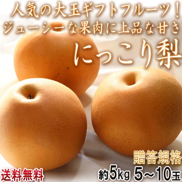 にっこり梨 約5kg 5〜10玉 秀品 茨城県産 大玉中心 贈答規格 味わい抜群の贈答フルーツ！果汁豊富で高糖度の大玉梨