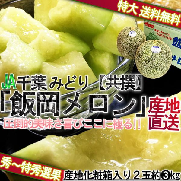 飯岡メロン 青肉 タカミ種 千葉県産 JA千葉みどり 3〜5玉入り 約5〜6kg 大玉限定 秀品〜特秀品 贈答品 貴味メロン 千葉特産 割れて届いた時の返品交換対応有り