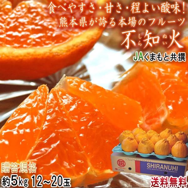 不知火 JAくまもと 約5kg 12〜20玉 熊本県産 大玉 贈答規格 不知火 JAくまもと 約5kg 12〜20玉 熊本県産 大玉 贈答規格