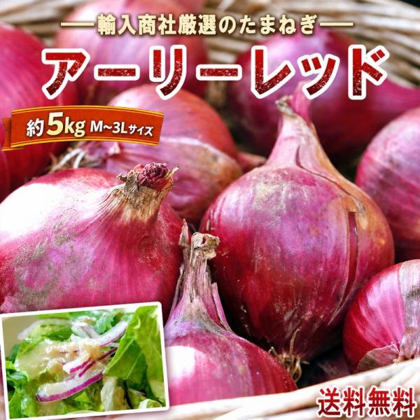 赤たまねぎ アーリーレッド等鮮やか赤 紫玉ねぎ 大容量タマネギ 約5kg M〜3Lサイズ インド・北米・中国産中心 彩り豊かな海外産！お求めやすい価格の玉ねぎ