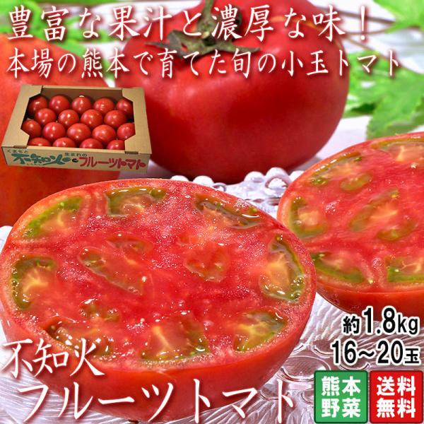 不知火フルーツトマト 約1.8kg 16〜20玉 熊本県産 トマトの本場で育てた甘み豊かな国産野菜！