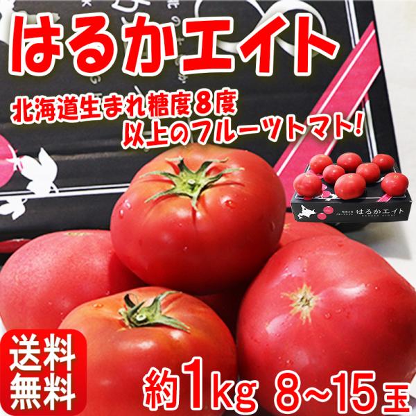 はるかエイト フルーツトマト 約1kg 8〜15玉 北海道産 贈答規格 JA北はるか 糖度8度保証の贈答トマト！ギフト最適な特産品