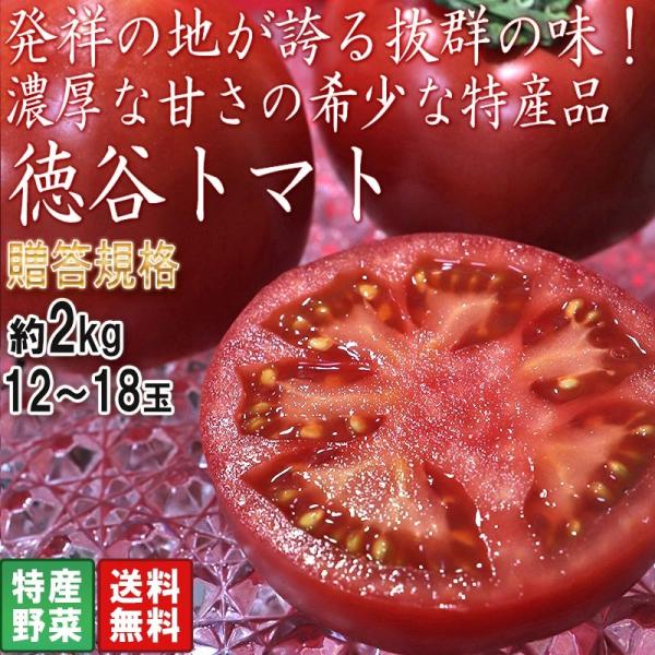 徳谷トマト 高糖度フルーツトマト 約2kg 12〜18玉 高知県産 贈答規格 こだわり抜いた最高峰の味と甘さ！非常に希少なブランド野菜