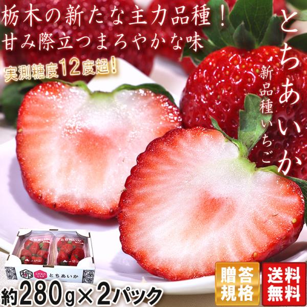 とちあいか いちご 約280g×2パック 栃木県産 贈答規格 JA共撰品 とちあいか いちご 約280g×2パック 栃木県産 贈答規格 JA共撰品