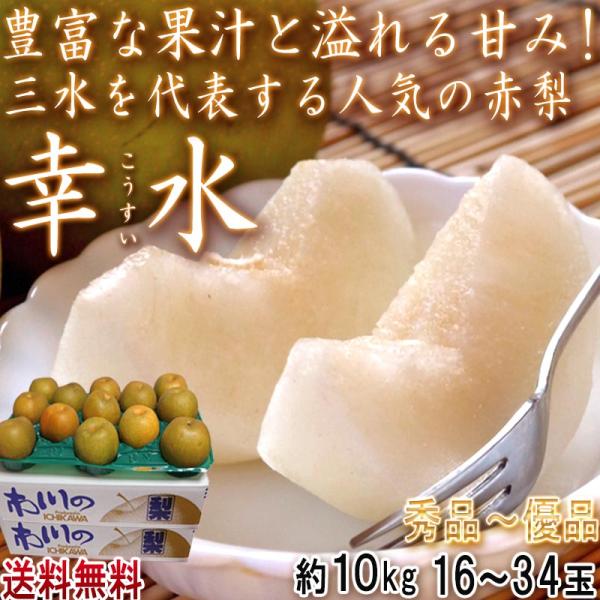 幸水 和梨 約10kg 16〜34玉 千葉県産 贈答規格 大玉中心 秀品〜優品 白井・市川・船橋を始め産地厳選！ジューシーな旬の新鮮なナシ