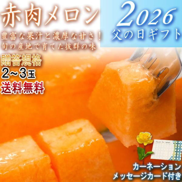 2026 父の日ギフト 赤肉メロン 2〜3玉入り 優〜秀品規格 産地厳選 クインシーメロン中心 化粧箱入り メッセージカード・カーネーション同梱