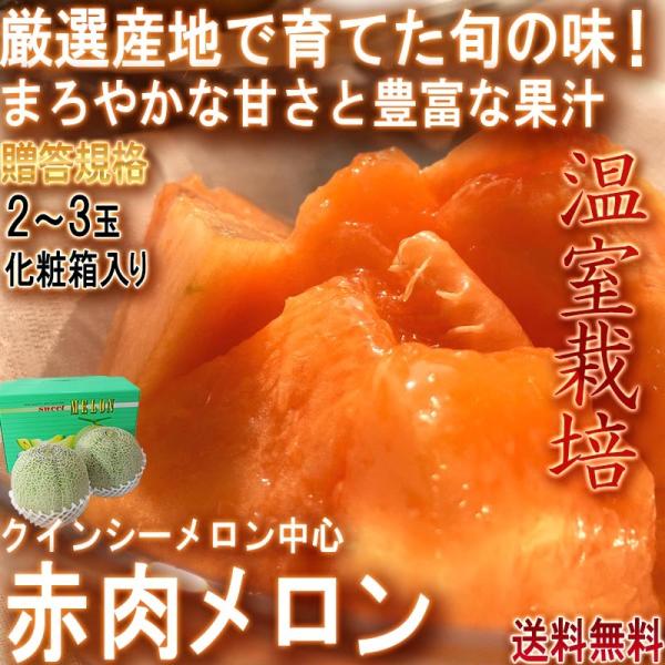 ԓ 2`3 錧S Ki YnI ͔| NC[V[EsAbhEmE}A\W JɈĂQ̔I