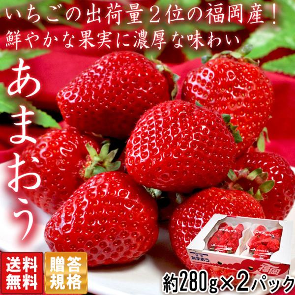 wamers_800011-243 wamers_800011-243