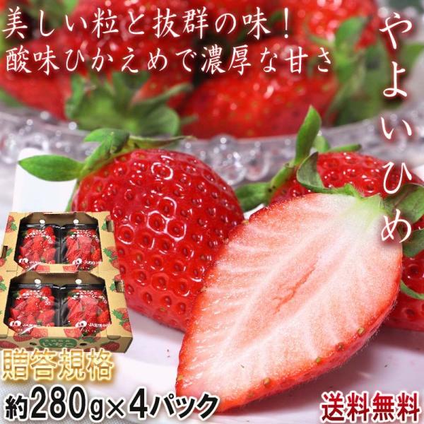 いちご やよいひめ」の人気商品一覧・価格比較 - 価格.com