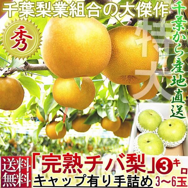 福島県産 豊水梨 梨 12玉入り家庭用 エリア限定品 食べごたえある大きめサイズ