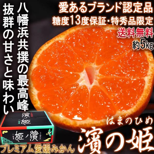 _mP ݂ Q v~A 5kg KiEGi JAɂ lւō̖Ix13xۏ؂̍t[c Fa_