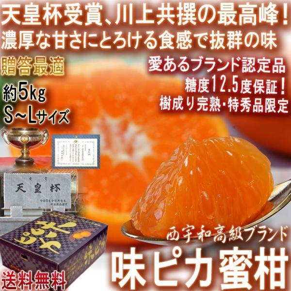 Yn sJ ㊮n݂ 5kg S`LTCY QY KiEGi JAɂ Vct܂̐㋤ւgbvuhI