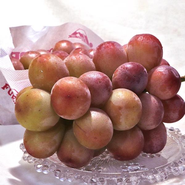 悟紅玉（旧ゴルビー）赤葡萄 約800g〜1kg 2房入り 贈答規格 山梨