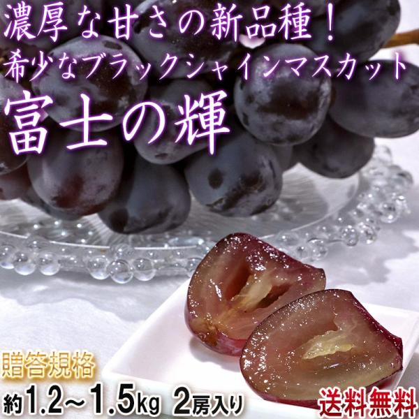 富士の輝 ブラックシャインマスカット 葡萄 約1.2〜1.5kg 2房入り 山梨