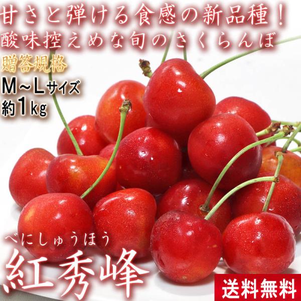 さくらんぼ 紅秀峰 1kg M〜Lサイズ 山形県産 贈答規格 高い糖度と控えめな酸味のギフトフルーツ！