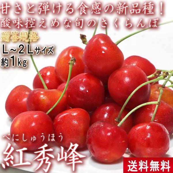 さくらんぼ 紅秀峰 約1kg L〜2Lサイズ 山形県産 贈答規格 高い糖度と控えめな酸味のギフトフルーツ！