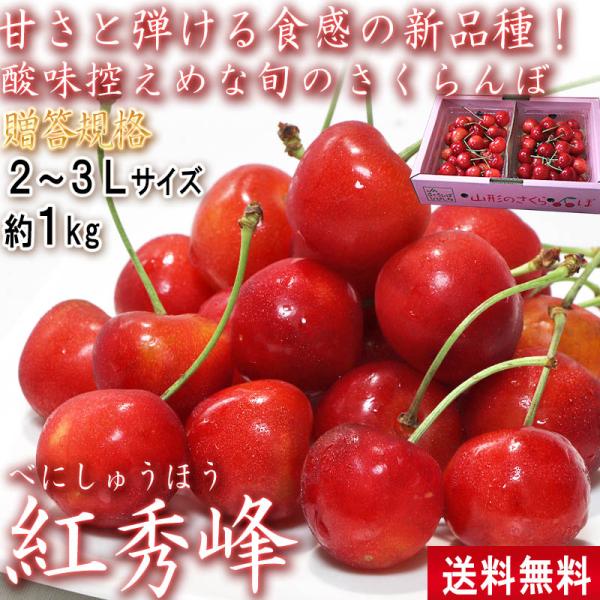 さくらんぼ 紅秀峰 約1kg 2〜3Lサイズ 大粒限定 山形県産 贈答規格 高い糖度と控えめな酸味のギフトフルーツ！