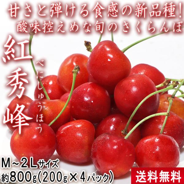 紅秀峰 さくらんぼ 約800g(200g×4パック) M〜2Lサイズ 山形県産 高い糖度と控えめな酸味のギフトフルーツ！