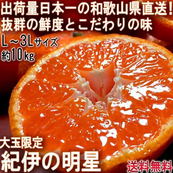 Yn Iɂ̖ B݂ 10kg L`3LTCY a̎RY ʌ ̏oחʓ{Ia̎RňĂQ̑NxƖ킢