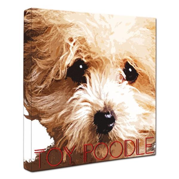 Impact Color トイプードル ｌサイズ ワンにゃんアートキャンバス 絵画 犬 インテリア雑貨 グッズ Wn Imc Tpo L ワンにゃんギャラリー 通販 Yahoo ショッピング