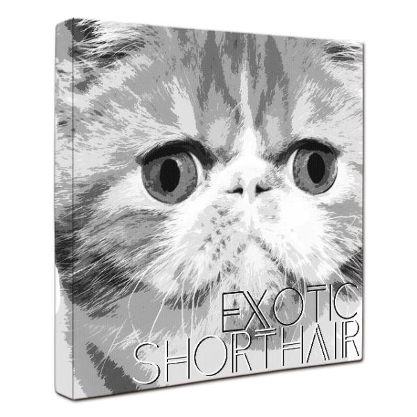 Impact Shirokuro エキゾチックショートヘア Lサイズ ワンにゃんアートキャンバス 絵画 猫 インテリア雑貨 グッズ Buyee Buyee 일본 통신 판매 상품 옥션의 대리 입찰 대리 구매 서비스