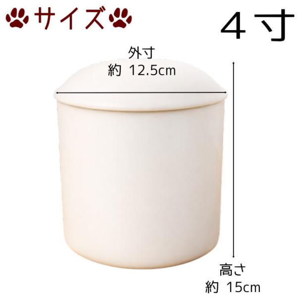 ���� ���� �� ���� 4�� �z���C�g �茳���{ ���� �[�� �⍜���[ �Α� ���� �y�b�g �� �L �V���v�� ���n ������� ���{ �������A�� ���킢�� ���i�摜2