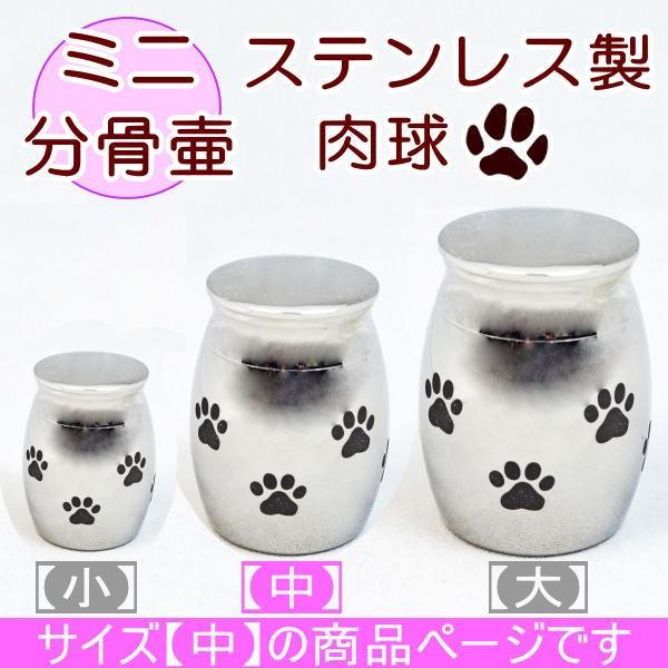  ~j XeX ~j  TCY  ybg  茳{