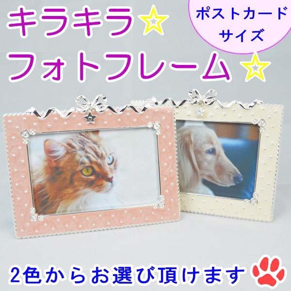 ybg@LLtHgt[ ʐ^ |XgJ[hTCY