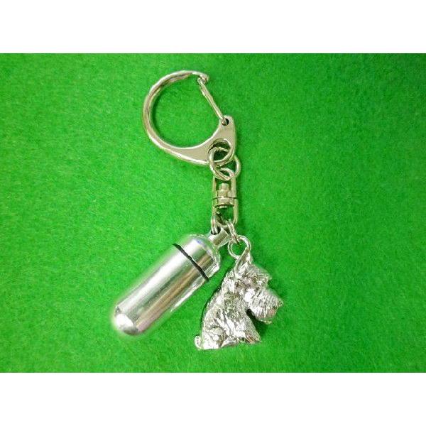 ybg@⍜JvZL[z_[iJvZj@ViEU[@