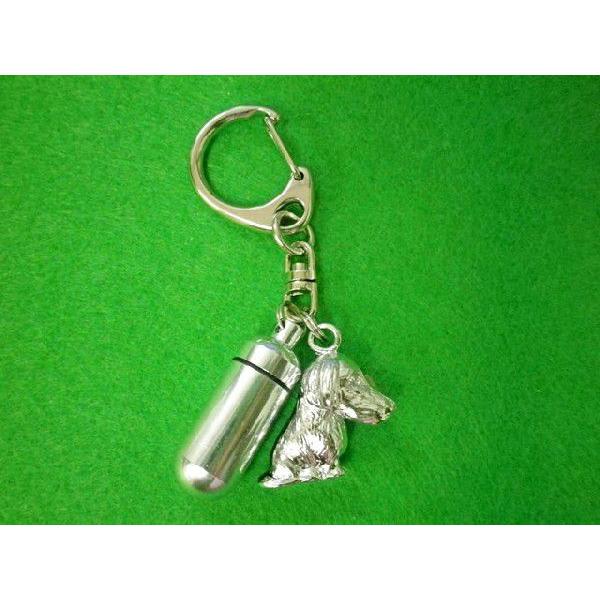 ybg@⍜JvZL[z_[iJvZj@S[fEgo[