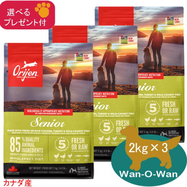 ORIJEN（オリジン） (カナダ産) シニア 2kg×3 (選べるプレゼント付