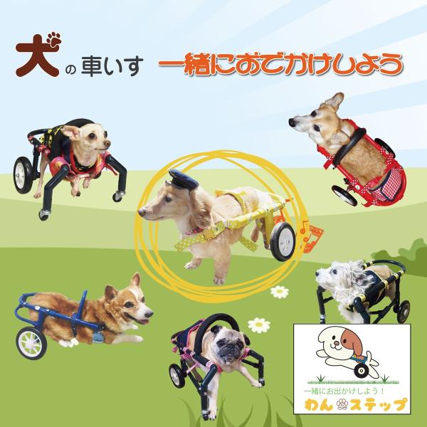 犬の車椅子 車いす 2輪 動物病院 動物病院 獣医師 2輪 黒 車いす わん ステップ 推奨品 中型犬用 D2 R22w18 Bkr 犬の車いす