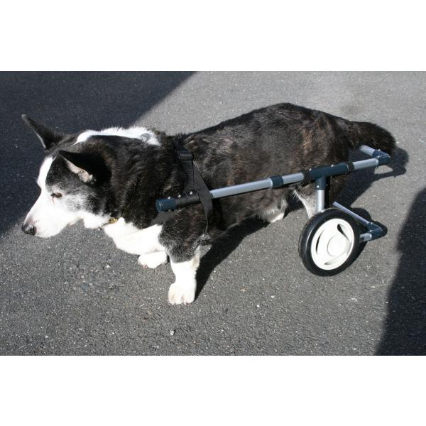 激安先着 中型犬用車椅子 犬用品