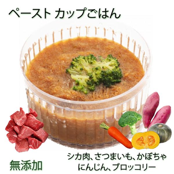 hbOt[h p̗H H ×{H _CGbgH J[ y  y[Xg󎭓̃|gt gbsO  ǔ