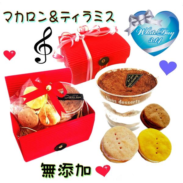  䂪Ƃ̃vZXɃX|bgCgIPւ̈`p̃zCgf[ }JeB~X Ԃ YY oi