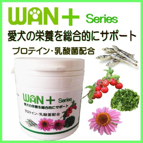 p̃Tvg v`m+ V[Y I[T|[g x[VbN veCE_۔z I[Xe[W ỸybgpiŌNȐH