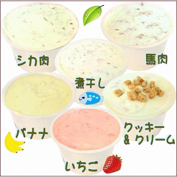 犬用 アイス クリーム 無添加 ミニ 6種類 セット 人気 熱中症 夏バテ 暑さ対策 体温調節 小型犬 超小型犬 ギフト お中元 おやつ 帝塚山 Wanbana ワンバナ Buyee Buyee Japanese Proxy Service Buy From Japan Bot Online