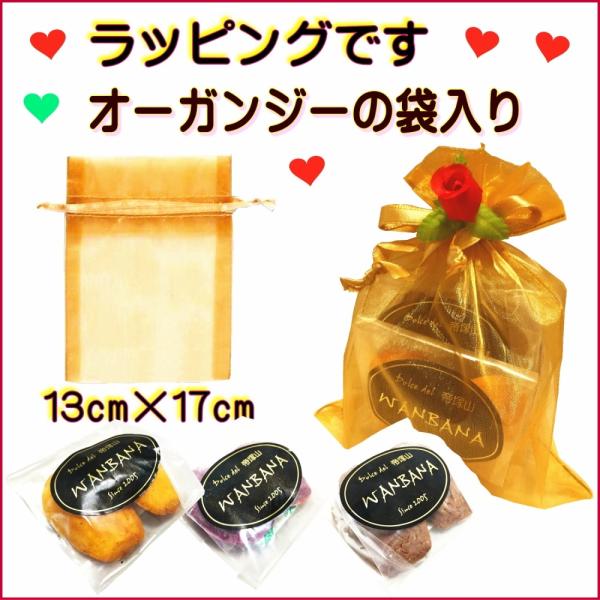 犬 おやつ ギフト 無添加 米粉 の マドレーヌ 3種類 セット 鹿肉 かぼちゃ 紫いも ヘルシー アレルギー プレゼント ラッピング 人気 あすつく 帝塚山 Wanbana Buyee Buyee Japanese Proxy Service Buy From Japan Bot Online