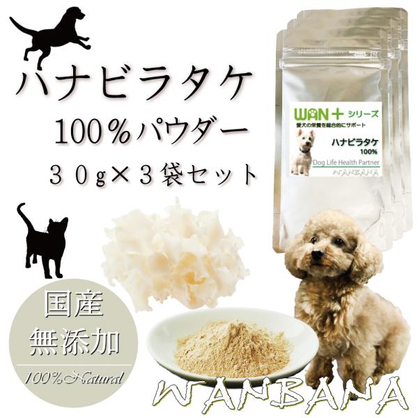 󏭉lÎ̂nir^PTvg130g×3 ͂Ȃт炽100%Lp RHނőł AM[ {CŖɌ19Noi