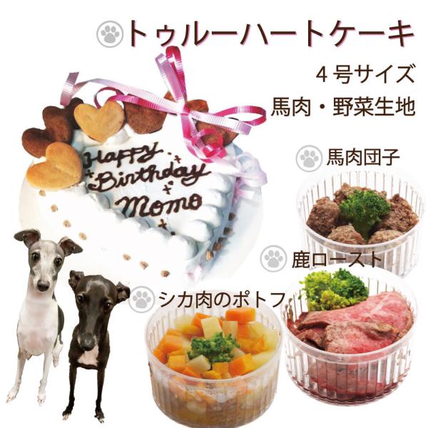 p̂agD[n[gP[LnƖؐn412cm3̃fJebZŃfBi[ZbglCSNSf ỸybgpiŌNȐH