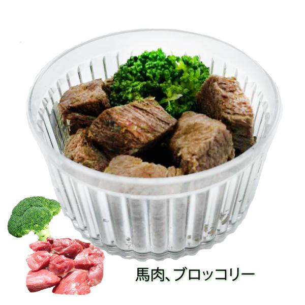 育͂ ñTCRXe[L  hbOt[h gbsO y  J[   a ỸybgpiŌNȐH